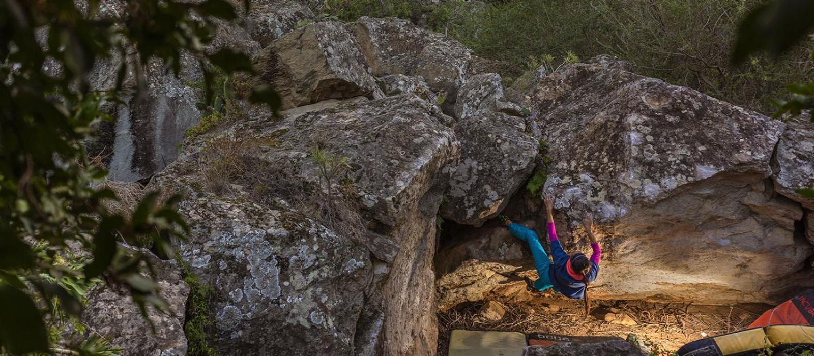 Tenerife Climbing House Arico Eksteriør billede